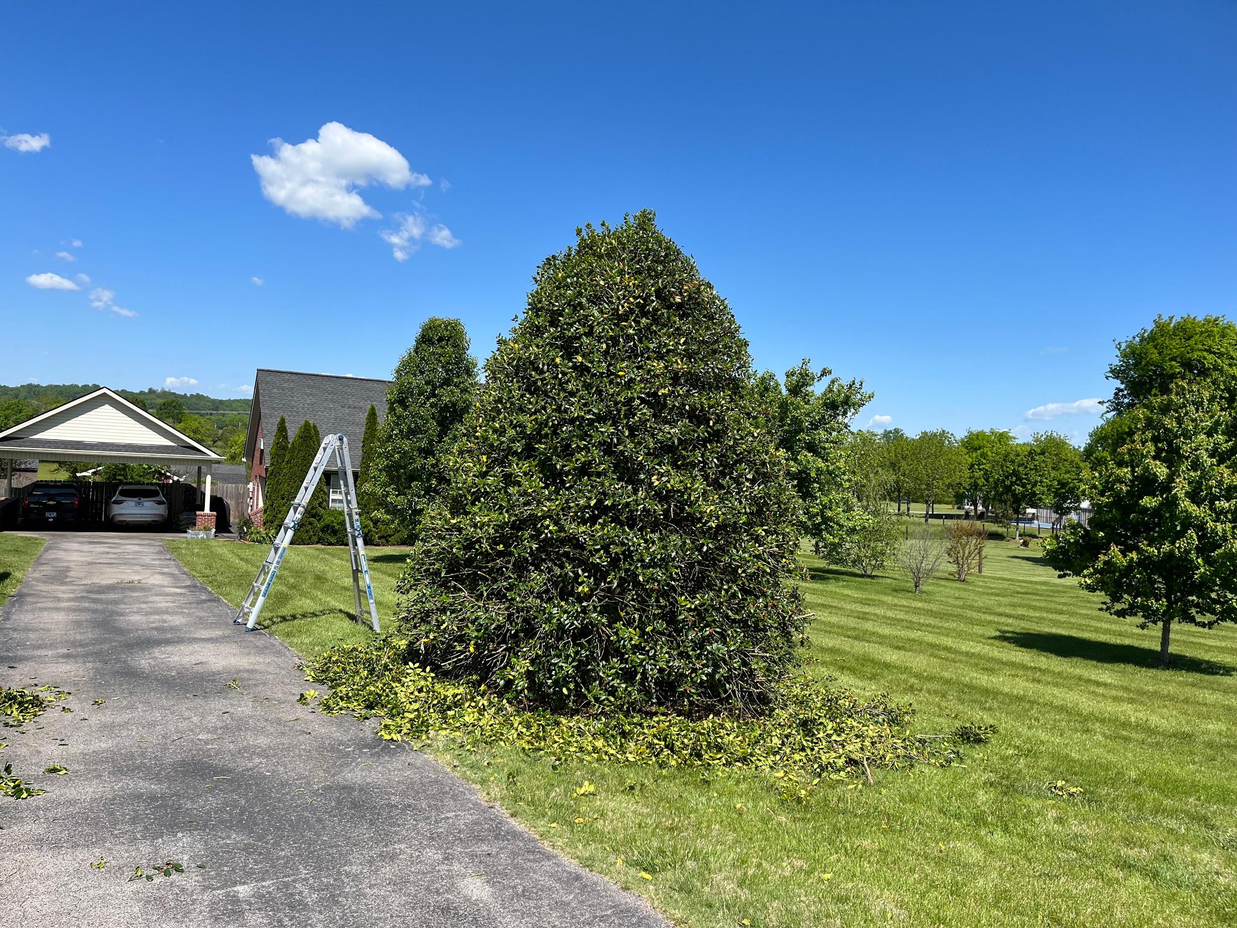 Jimpar Lawncare past project 15