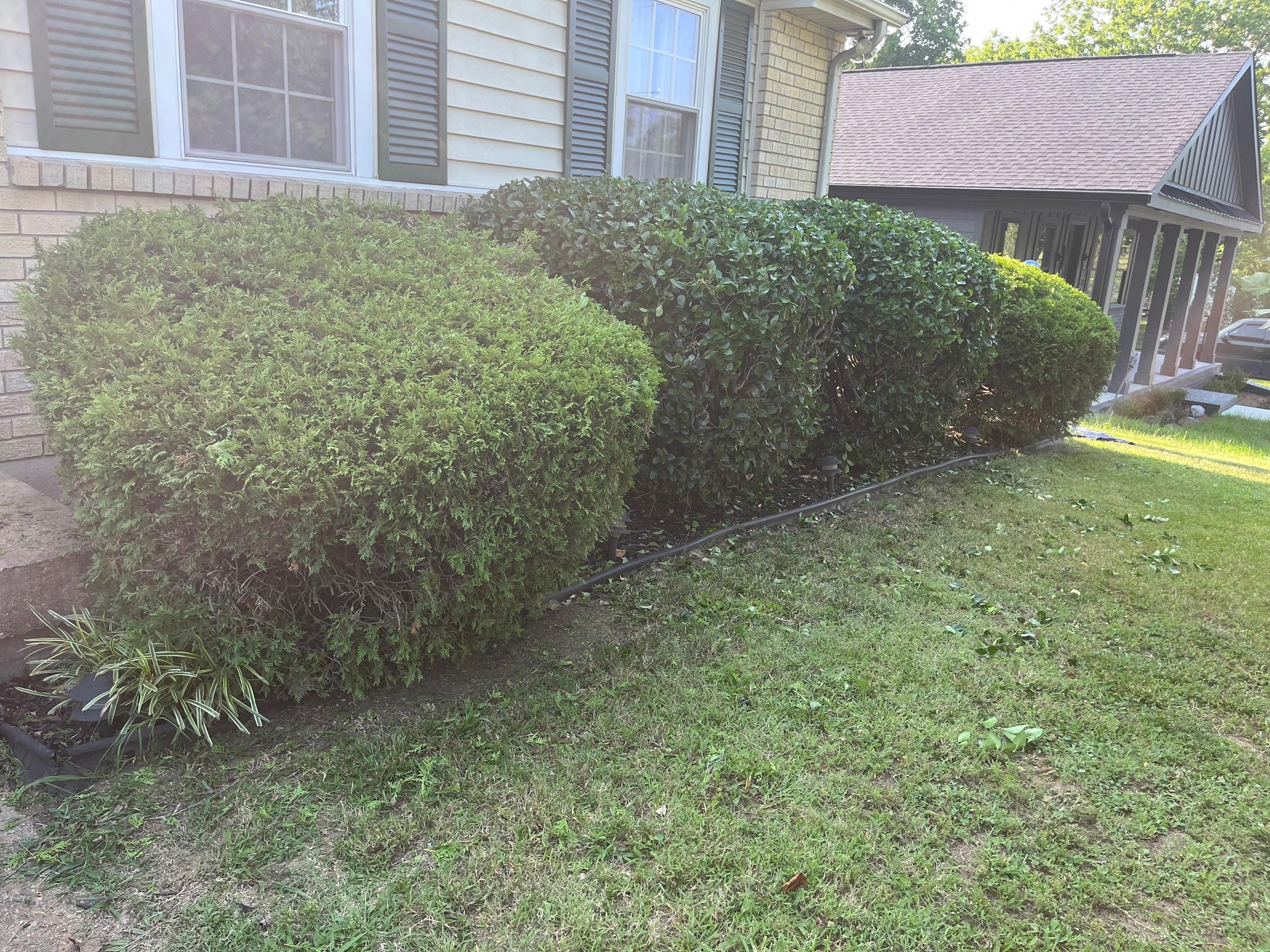 Jimpar Lawncare past project 5