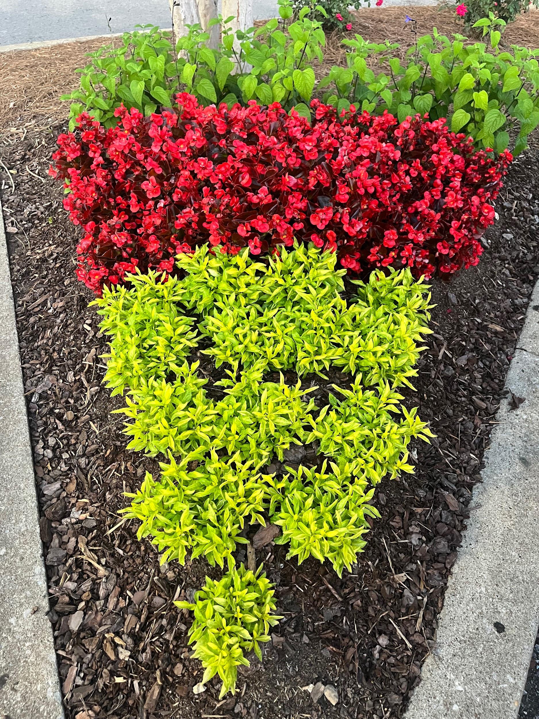 Jimpar Lawncare past project 2