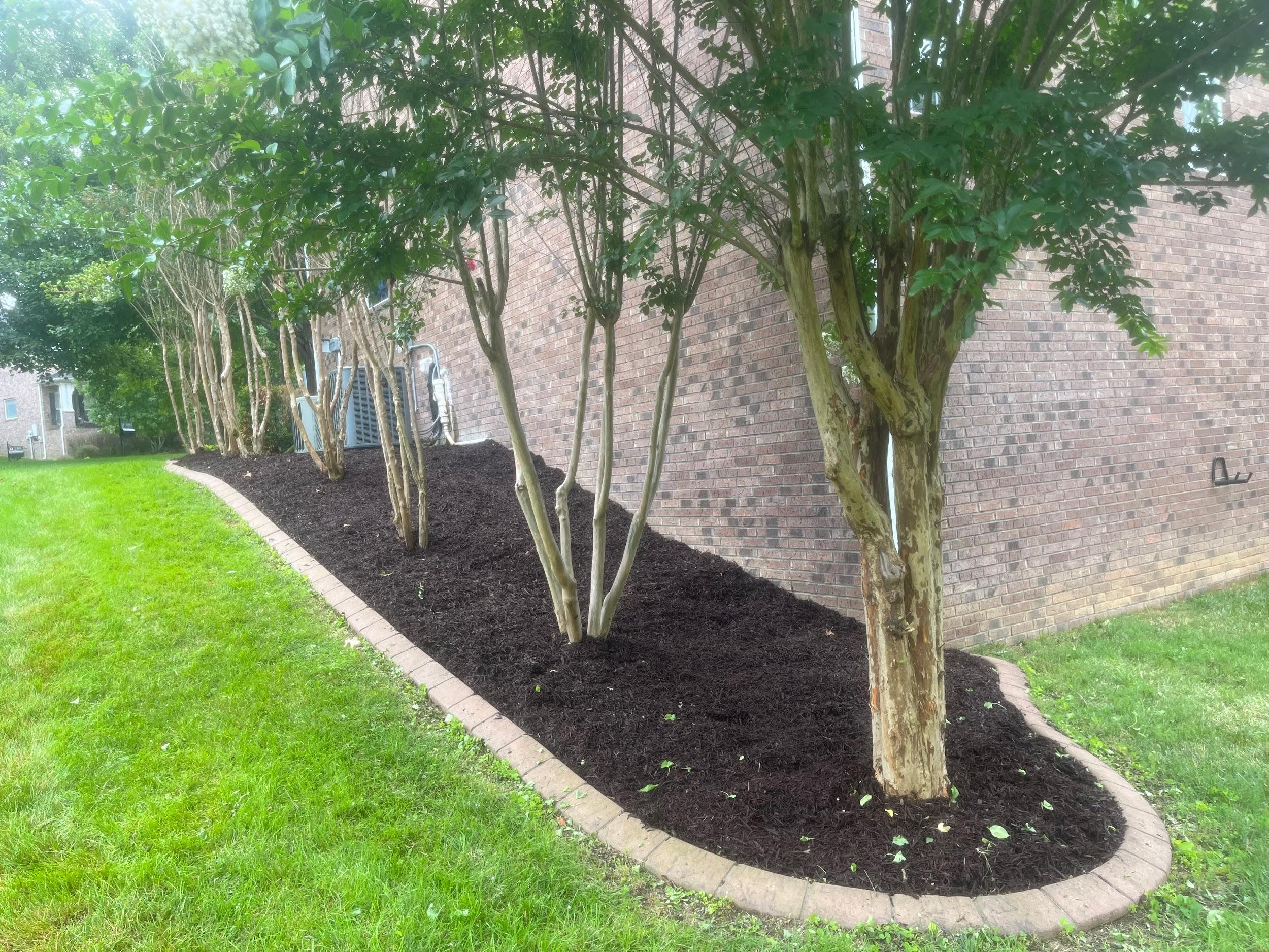 Jimpar Lawncare past project 3