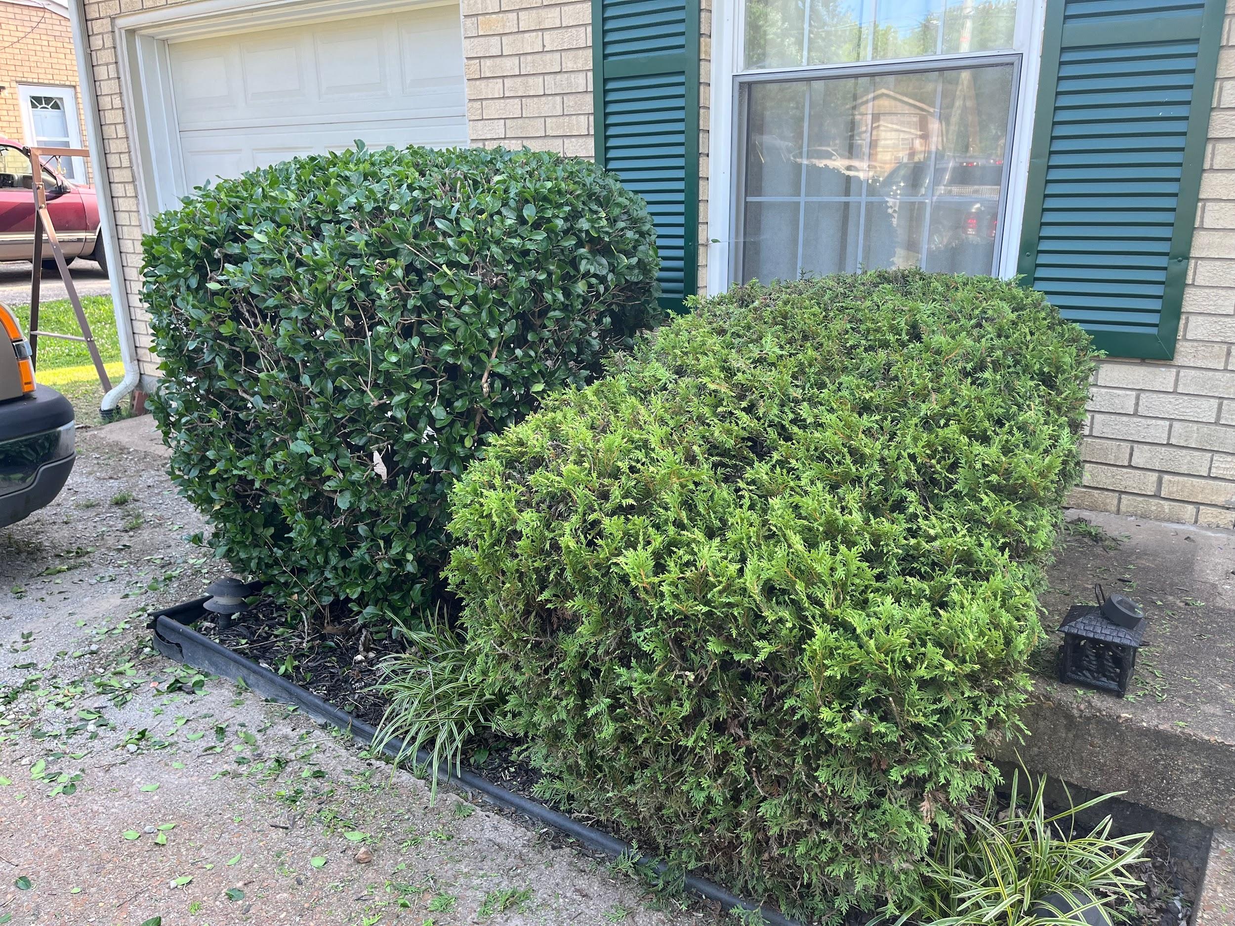 Jimpar Lawncare past project 8