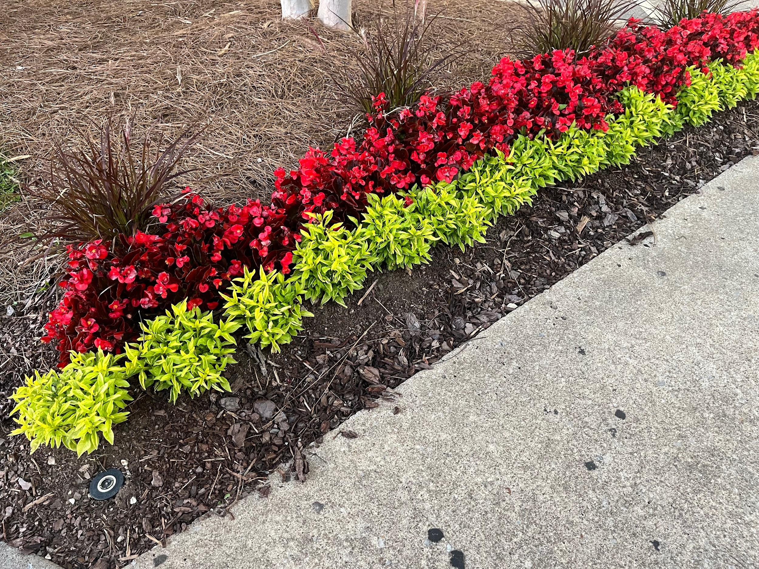Jimpar Lawncare past project 12